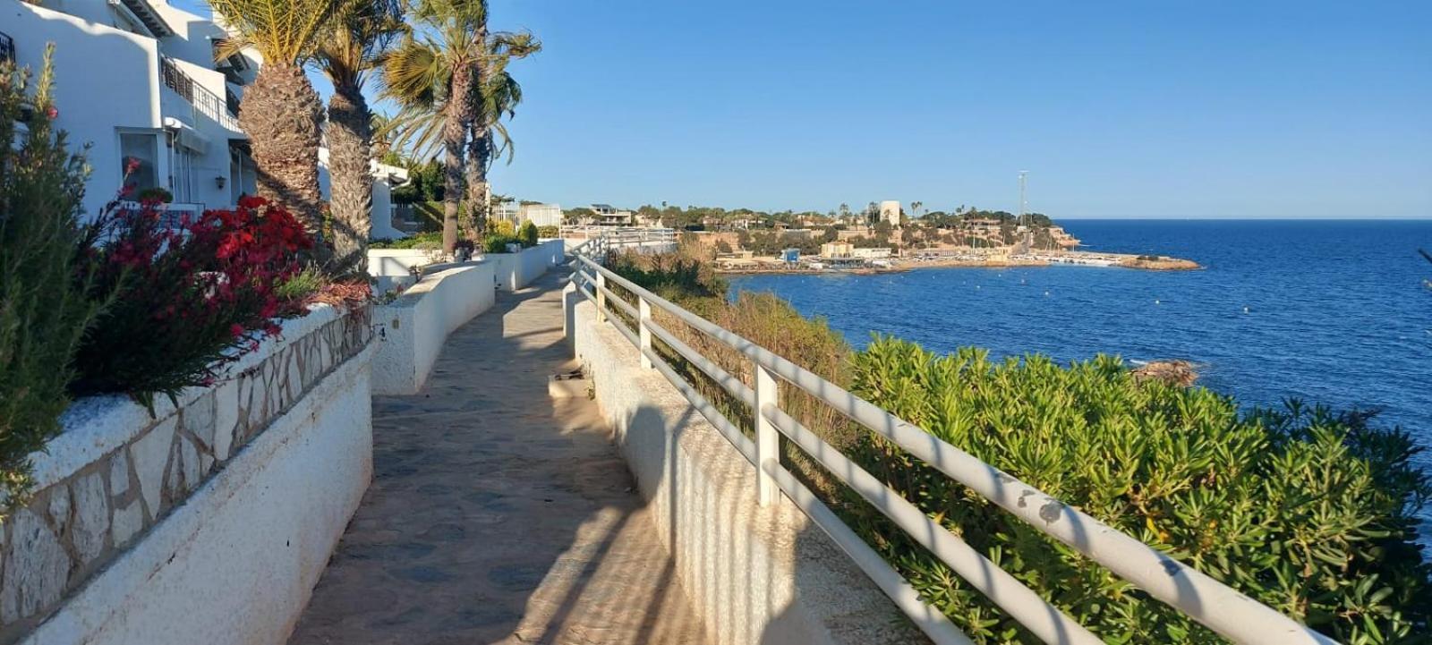 Aguamarina, Campoamor * Dehesa de Campoamor (Orihuela Costa)